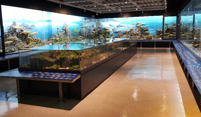 釜山海洋自然史博物館